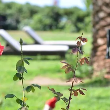 Limira Mare Hotel Neápolis