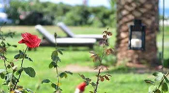 Limira Mare Hotel 3*